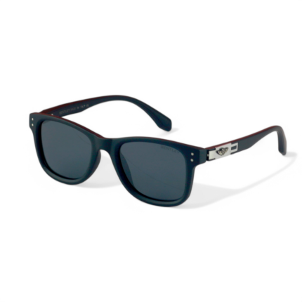 Polarized Sunglass